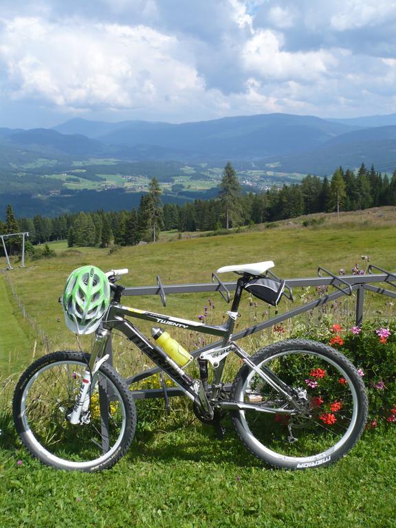 Apartament Haus Pfarrkirchner Mauterndorf  Zewnętrze zdjęcie